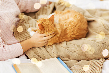 Image showing close up of owner stroking red cat in bed at home