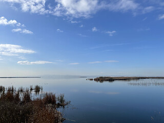 Image showing Tranquil lake or estuary at sunrise or sunset