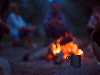 Image showing young friends relaxing around campfire