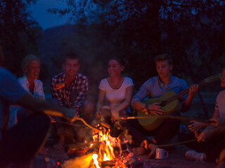 Image showing young friends relaxing around campfire