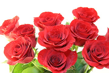 Image showing Red roses