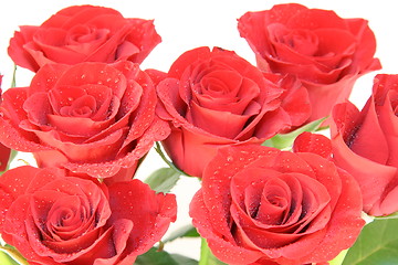 Image showing Red roses