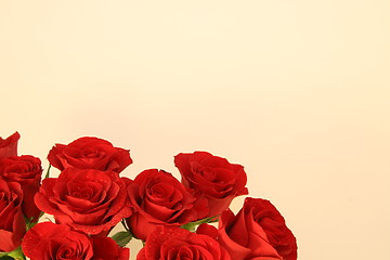 Image showing Red roses