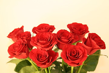 Image showing Red Roses