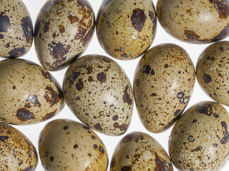 Image showing some quail eggs