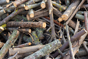 Image showing Heap of randomly piled firewood close up