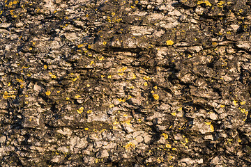 Image showing Eroded limestone cliffs close up