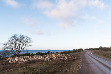 Image showing Coastal country road