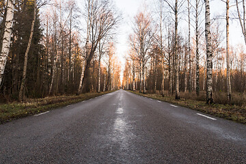 Image showing Birch tree alley by a country road