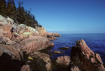 Image showing  Rocky coastline along the Maine shore