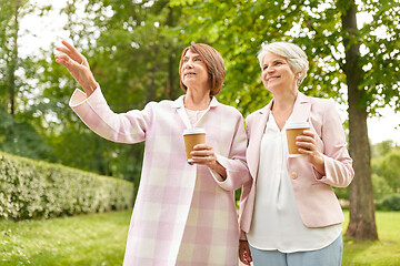 Image showing senior women or friends drinking coffee at park