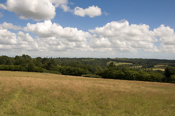 Image showing Farmland