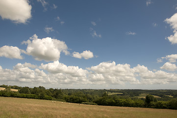 Image showing Farmland