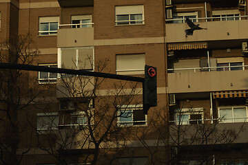 Image showing Traffic light in front of a block of apartments