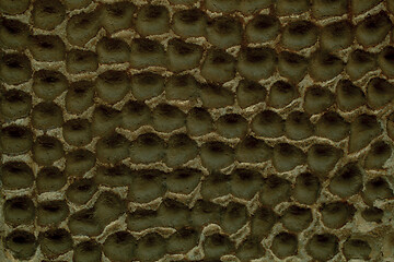 Image showing Decorative plaster on a wall with honeycomb effect