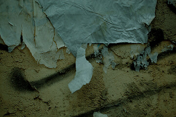 Image showing Peeling paper and plaster on a grunge damp wall