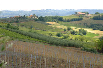 Image showing Hills of Tuscany