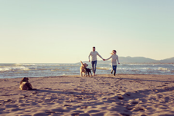 Image showing couple with dog having fun on beach on autmun day