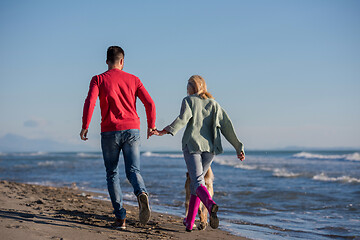 Image showing couple with dog having fun on beach on autmun day