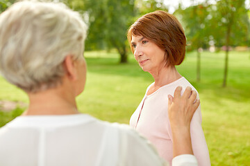 Image showing senior women or friends talking at summer park