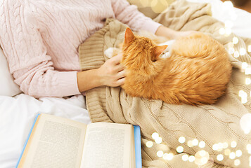 Image showing close up of owner stroking red cat in bed at home