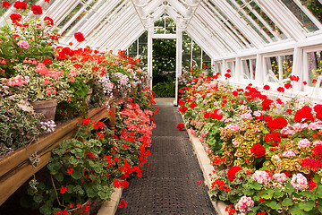 Image showing Green House