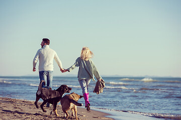 Image showing couple with dog having fun on beach on autmun day