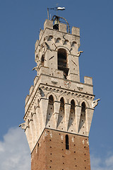 Image showing Palazzo pubblico