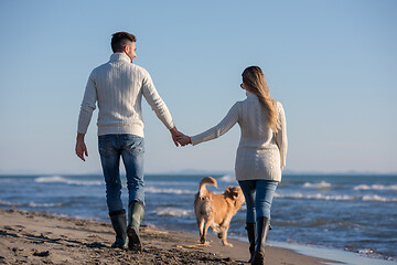 Image showing couple with dog having fun on beach on autmun day