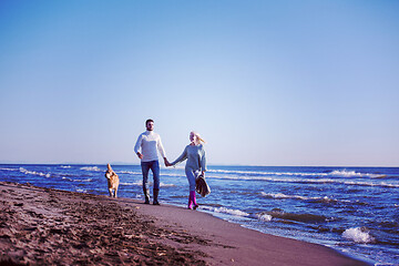 Image showing couple with dog having fun on beach on autmun day