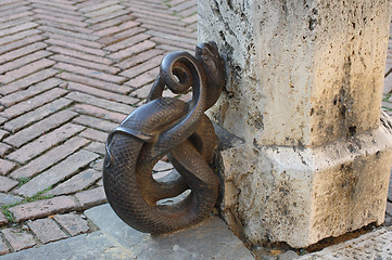 Image showing Iron snake