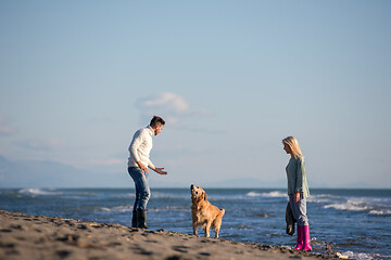 Image showing couple with dog having fun on beach on autmun day