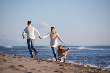 Image showing couple with dog having fun on beach on autmun day