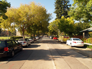 Image showing tree covered street in morning light with cars