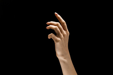 Image showing Female hand demonstrating a gesture of getting touch isolated on gray background