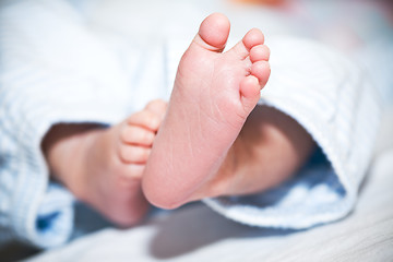 Image showing Newborn baby feet