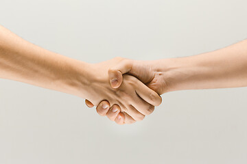 Image showing Two male hands shaking isolated on grey studio background