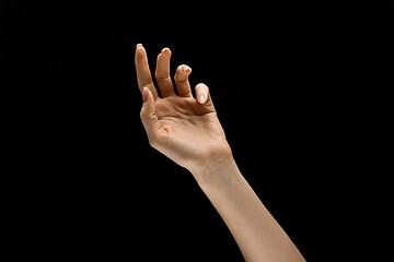 Image showing Female hand demonstrating a gesture of getting touch isolated on gray background