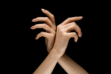 Image showing Male and female hands demonstrating a gesture of getting touch isolated on gray background