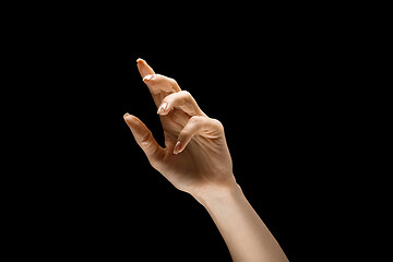 Image showing Female hand demonstrating a gesture of getting touch isolated on gray background