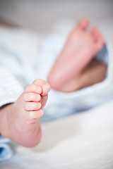 Image showing Newborn baby feet