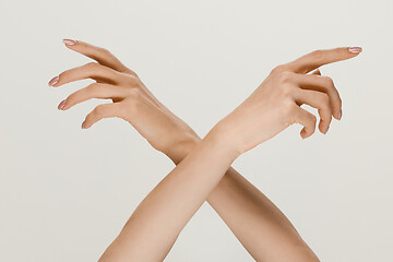 Image showing Male and female hands demonstrating a gesture of getting touch isolated on gray background