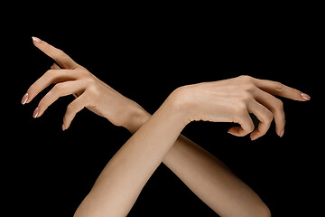 Image showing Male and female hands demonstrating a gesture of getting touch isolated on gray background