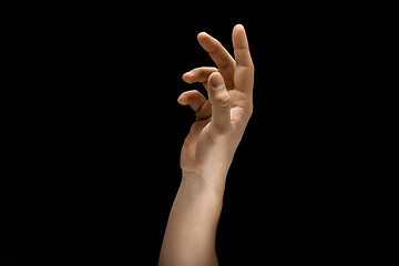 Image showing Male hand demonstrating a gesture of getting touch isolated on gray background