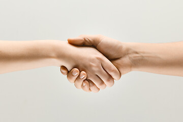 Image showing Two male hands shaking isolated on grey studio background