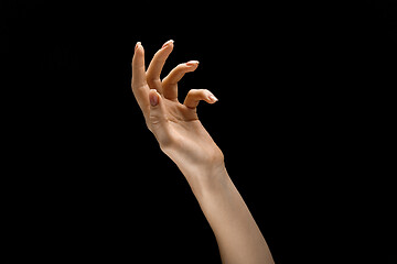 Image showing Female hand demonstrating a gesture of getting touch isolated on gray background