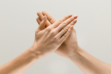 Image showing Male and female hands demonstrating a gesture of getting touch isolated on gray background