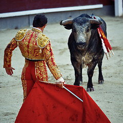 Image showing Traditional corrida, bullfighting in spain. Bulfighting has been prohibited in Catalunia since 2011 for animal torturing.