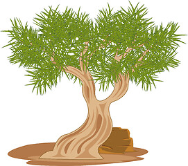 Image showing Vector illustration tree saxaul rising in desert