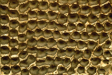 Image showing Decorative plaster on a wall with honeycomb effect